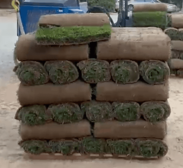 Sod Installation